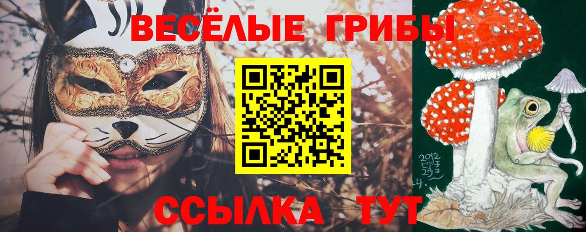 Галлюциногенные грибы прущие грибы  Вход с VPN  Псилоцибиновые грибы MAGIC MUSHROOMS  где продают наркотики  Сургут 